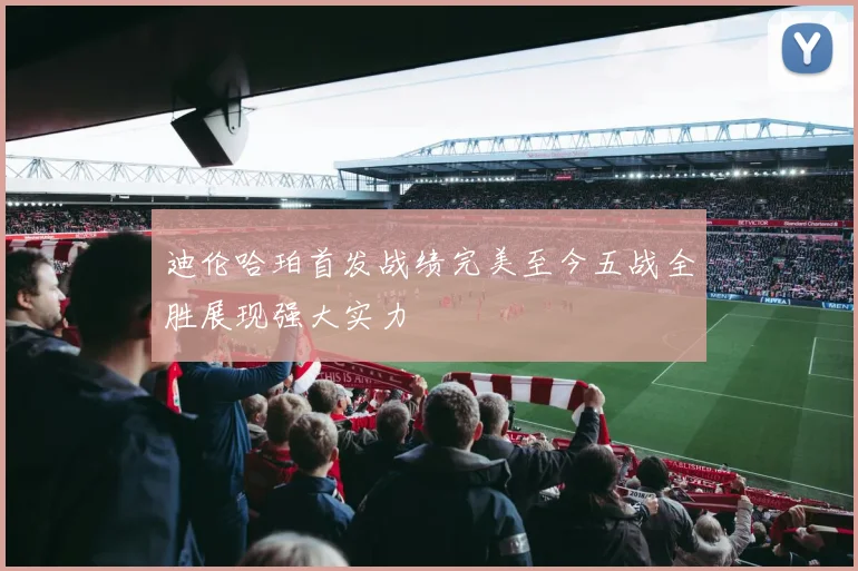 迪伦哈珀首发战绩完美至今五战全胜展现强大实力